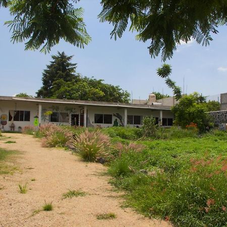 Casa De Huespedes Colmena Otel Tlayacapan Dış mekan fotoğraf